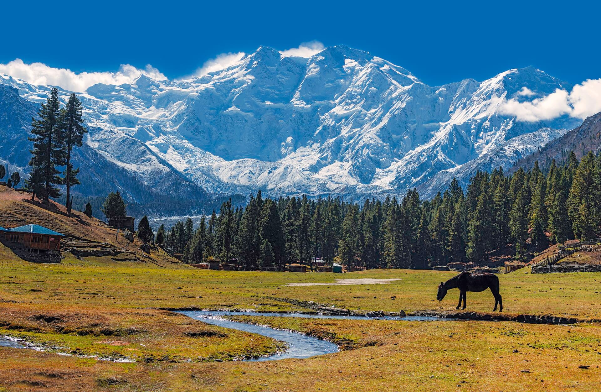 Fairy Meadows